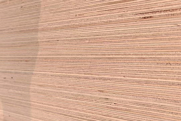 Furniture plywood panels